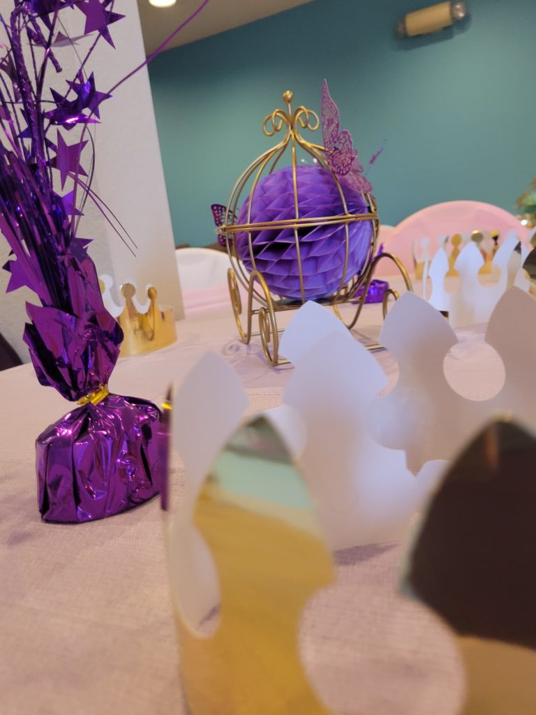 Children’s birthday · princess theme · 22 February 2025