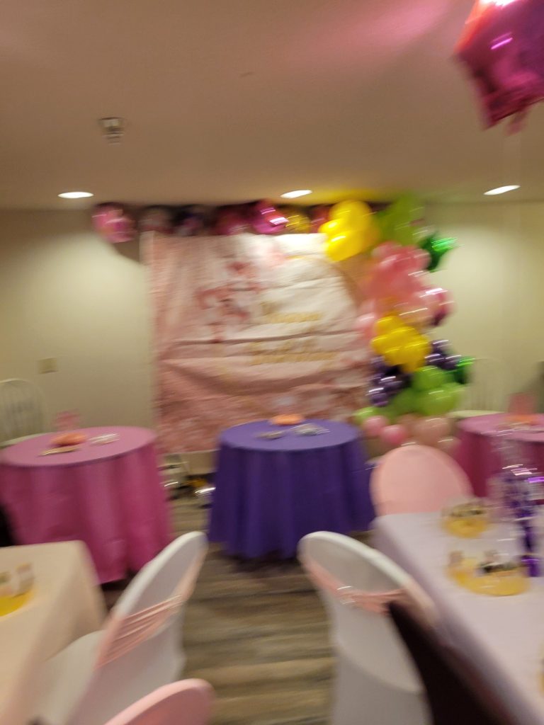 Children’s birthday · princess theme · 22 February 2025