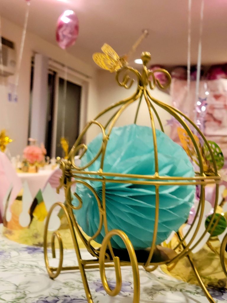 Children’s birthday · princess theme · 22 February 2025
