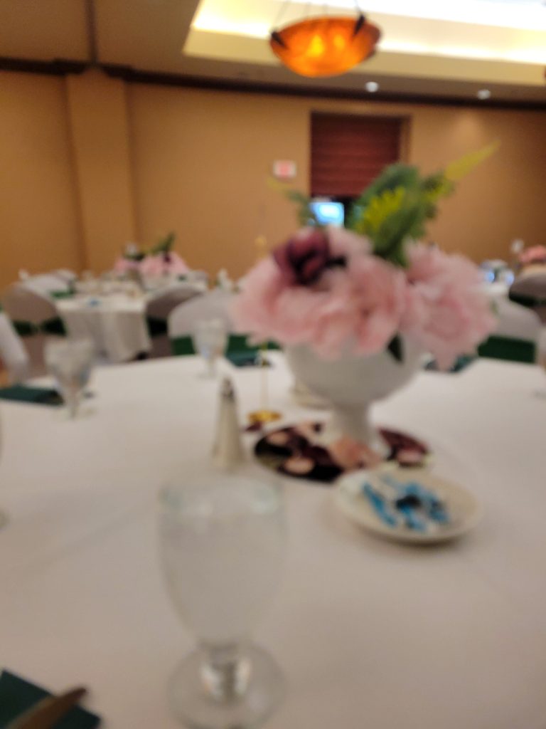 Hotel banquet · emerald green · 17 May 2025